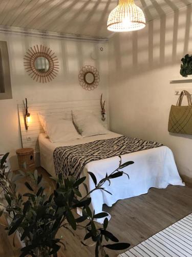 a bedroom with a bed and a mirror and a plant at MAS DES MAGNARELLES / UZES / CEVENNES in Méjannes-lès-Alès