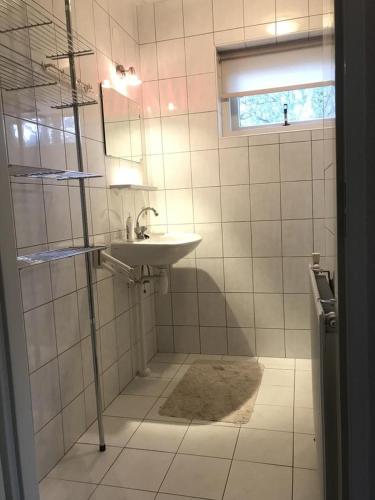 a bathroom with a sink and a mirror at Anna in Nunspeet