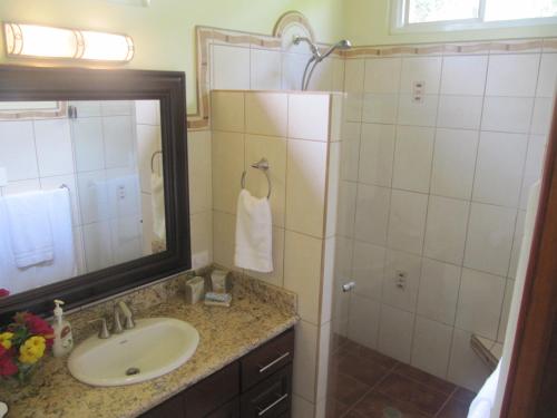 ein Bad mit einem Waschbecken und einem Spiegel in der Unterkunft Paloma in Ojochal