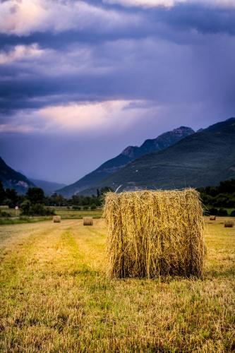 Un paisaje natural cerca del departamento