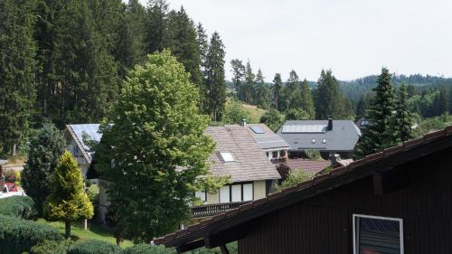 Příroda nedaleko apartmánu