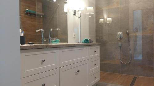 a bathroom with a sink and a shower at Hel Amber Apart in Hel