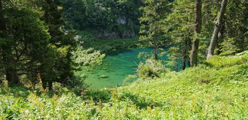 Un paisaje natural cerca de la posada