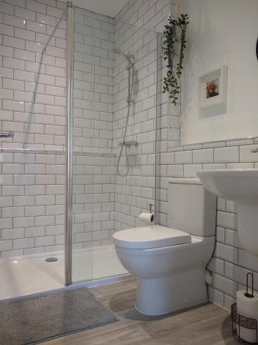 a bathroom with a toilet and a shower and a sink at Taigh Na Frithe in Fort Augustus