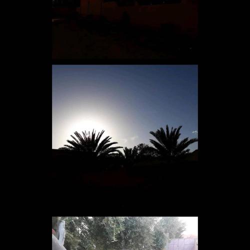 a view of the sun through a window with palm trees at Oasispalmares in Er Rachidia