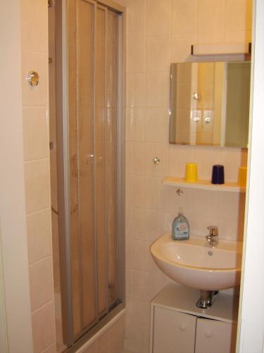 a bathroom with a shower and a sink at Haus Gertrud in Bad Sachsa