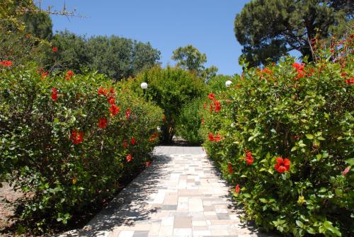 a pathway through a garden with red flowers at Niki Hotel Apartments in Ialyssos