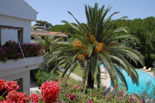 a palm tree in a garden next to a building at Niki Hotel Apartments in Ialyssos