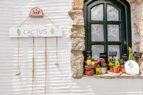 Fotografie z fotogalerie ubytování ''Cactus'' Traditional house v destinaci Vólax
