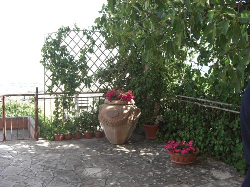 a large vase with flowers in it next to a fence at Albergo Villa Nobile in Chiaramonte Gulfi