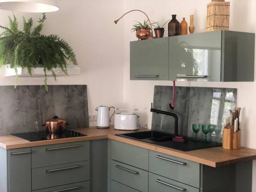 a kitchen with green cabinets and a stove top oven at Into The Green Apartment in Markt Nordheim