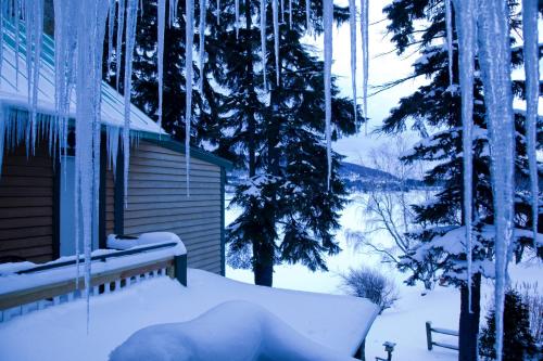 a snow covered yard with a house and trees at Lake Pointe Inn in McHenry