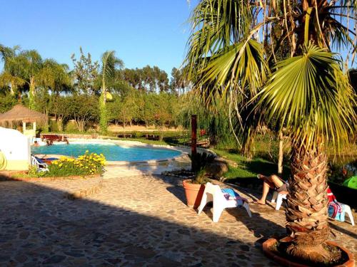 a palm tree sitting next to a swimming pool at Herdade do Sardanito da Frente in Zambujeira do Mar