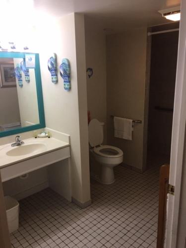 a bathroom with a toilet a sink and a mirror at Davis House Inn in Sebastian