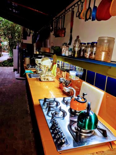 Comida en el hostal o alrededores