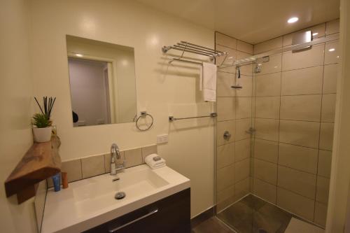 La salle de bains est pourvue d'un lavabo et d'une douche. dans l'établissement Fountains 18, à Mount Hotham