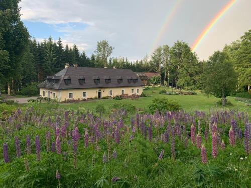 a rainbow over a house with a field of purple flowers at Itha’s secret escape in Langschlag