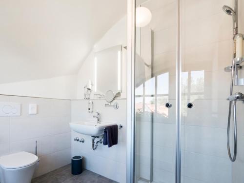 a bathroom with a shower and a toilet and a sink at Hotel Restaurant Schiff in Kappel-Grafenhausen
