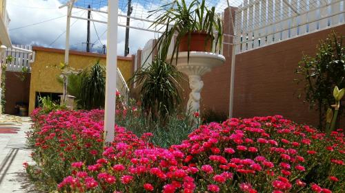 un jardín con flores rosas frente a un edificio en Otroiza Hotel, en Cilaos