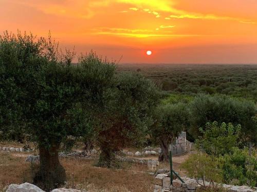 a sunset over a field with trees and a building at B & B Monte Adamo in Conversano