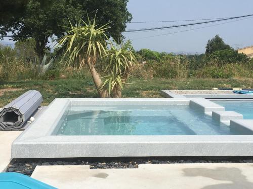 a small swimming pool in a yard with a palm tree at La petite bergerie in Roquebrune-sur-Argens