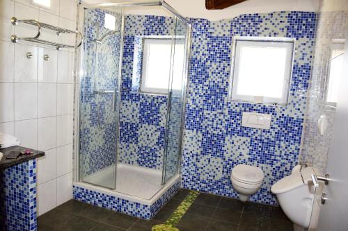 a blue tiled bathroom with a shower and a toilet at Apartment´s Marchtrenk in Marchtrenk