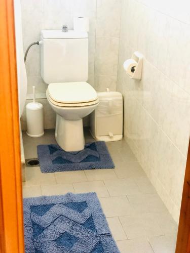 a bathroom with a toilet and two blue rugs at Elena Studios & Apartments in Piso Livadi