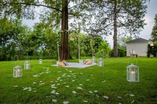 a group of lights sitting in the grass in front of a tree at Villa Sequoia in Leinì