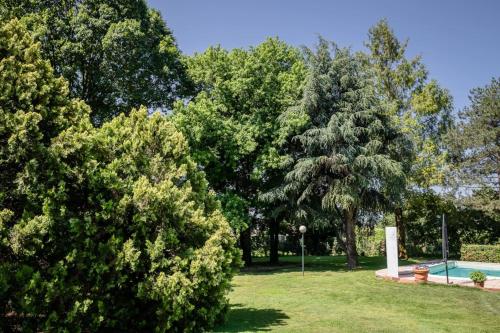 a group of trees in a park with a pool at Villa Sequoia in Leinì