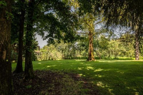 two trees in a field with green grass and trees at Villa Sequoia in Leinì
