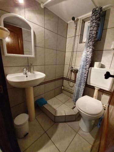 a small bathroom with a sink and a toilet at Vila Margareta in Curtea de Argeş