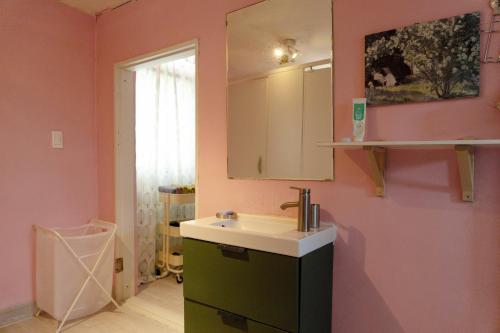 bagno con lavandino e specchio di Hello Project Guesthouse a Jeju