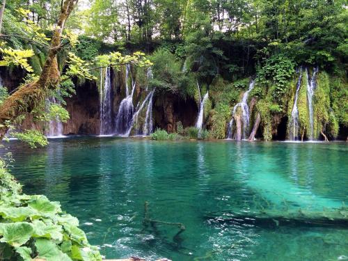 a pool of emerald green water in front of waterfall at Fenomen Plitvice Resort in Plitvička Jezera