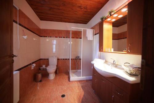 Bathroom sa Dora's House at Agios Germanos Prespes