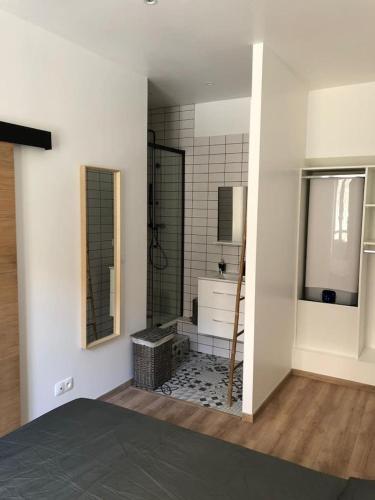 a bathroom with a shower and a sink and mirror at T2 COSY EN PLEIN CENTRE HISTORIQUE D'AJACCIO in Ajaccio