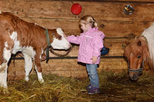 a little girl petting a brown and white cow at Ferienhof Felder in Bezau