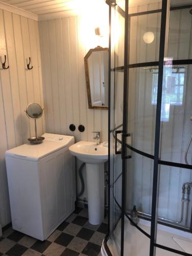 y baño pequeño con lavabo y ducha. en Jonstorps brygghus en Falköping