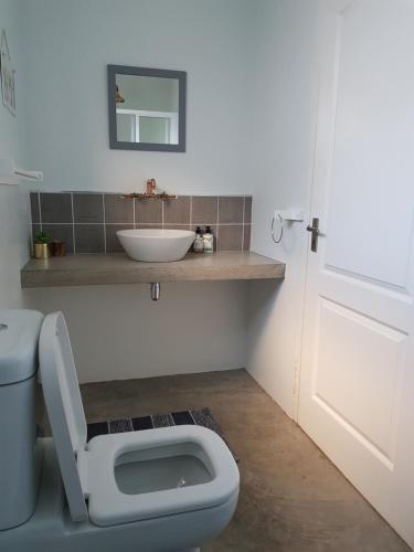 a bathroom with a white toilet and a sink at Matjesfontein Estate Keurbooms Chalet in Plettenberg Bay