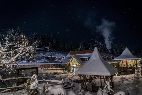 a house covered in snow at night at Lobogo Resort in Vlăhiţa