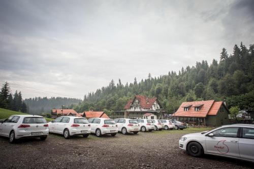 a row of cars parked in a parking lot at Lobogo Resort in Vlăhiţa