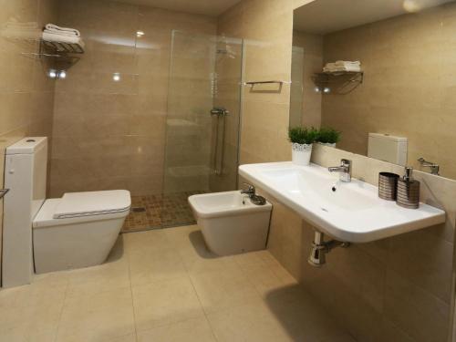 ein Bad mit einem WC, einem Waschbecken und einer Dusche in der Unterkunft Apartamento turisticos Puente Romano P3 1-A in Salamanca