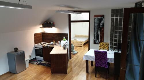 a kitchen with a stove and a table in it at Relax Penzion U Adama in Dolná Tižina