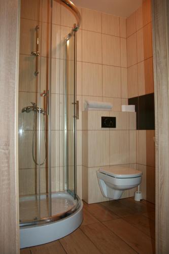 een badkamer met een douche en een toilet bij Ararauna in Kamienica