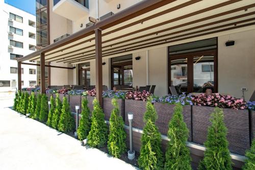 a row of plants in front of a building at Hotel Manor in Mamaia Nord