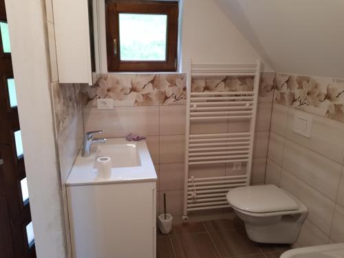a small bathroom with a sink and a toilet at Relaxing Cottage Donacka Gora in Rogatec