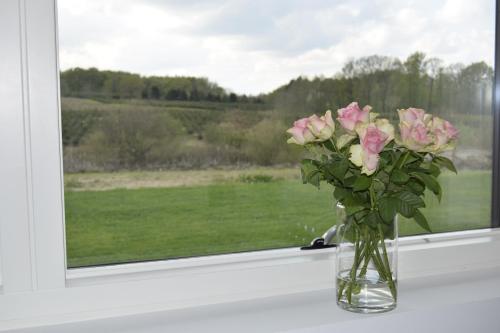 a vase of pink roses sitting on a window sill at Fredensholm Annex in Skanderborg