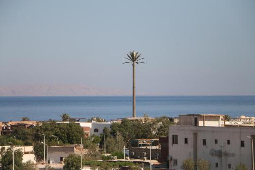a palm tree in the middle of a city with the ocean at Casa D'or Dahab in Dahab