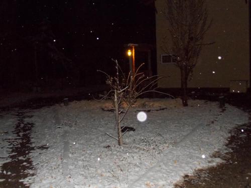 a snow covered yard with a tree and a snowball at Balcon de Antares in Uspallata