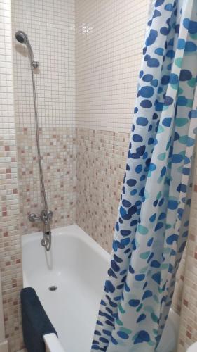 カディスにあるApartamento El Gaditano Erranteのバスルーム(シャワー、バスタブ、シャワーカーテン付)が備わります。