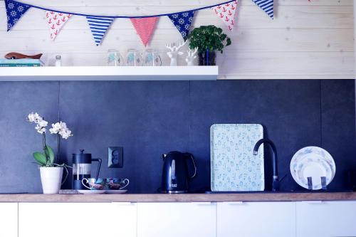 a kitchen counter with a blue wall with flags at Osada Natura in Śliwin